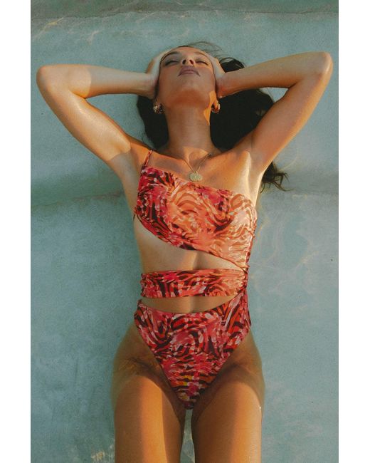 Wild Lovers Orange Heatwave Swimsuit