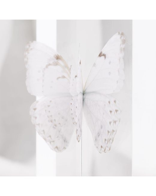 Oana Savu Pink Pin Off Silk Butterfly Brooch