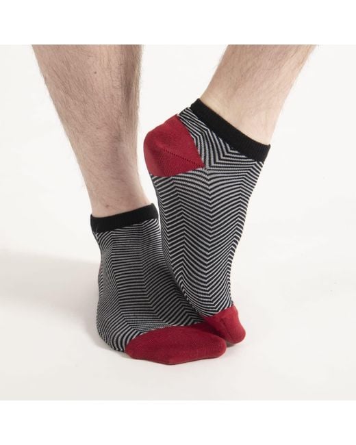 Peper Harow - Made in England Blue Lux Taylor Trainer Socks Bundle – Sky for men