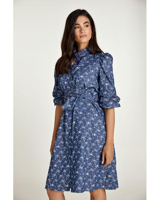 Conquista Blue Floral Long Sleeve Dress