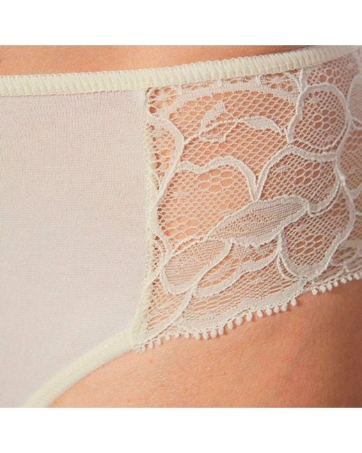 Zd - Zero Defects White Neutrals Enara High-Waist Brief – Premium Comfort With Soy Fiber