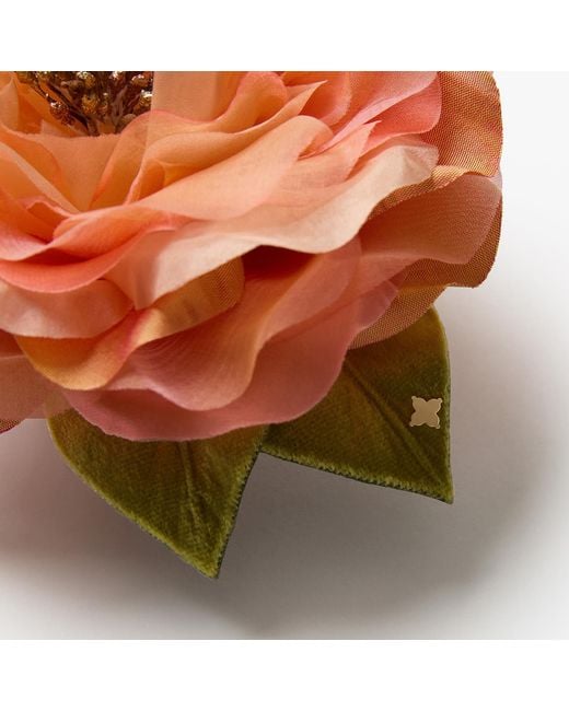 Helena Simon Orange The Peach Open Rose Floral Brooch