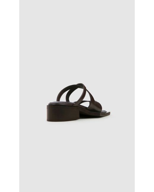 PREVU Black Karel Mule