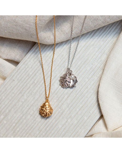 Auree Jewellery Metallic Gaia Oyster Shell And Pearl Necklace