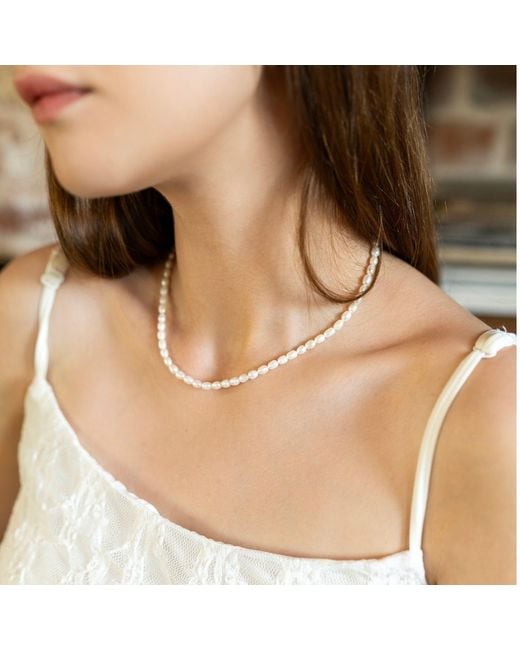 Spero London White Natural Freshwater Real Seed Pearl Necklace & Bracelet Set