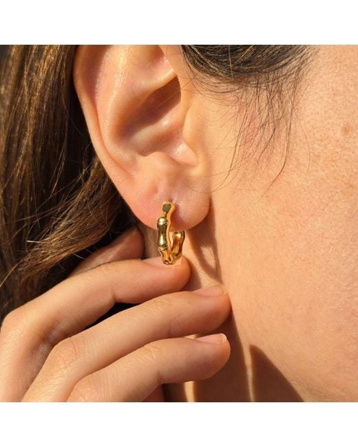 Harfi Metallic Plated Bamboo Everyday Huggie Earrings