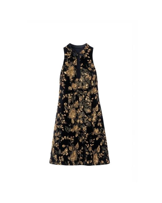 Belsize25 Black Golden Garden And Velvet Beaded Floral Halterneck Mini Dress
