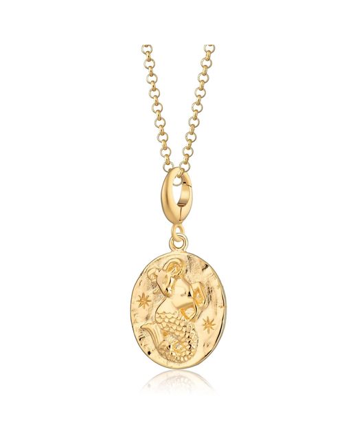 Lily Charmed Metallic Plated Capricorn Zodiac Charm Necklace