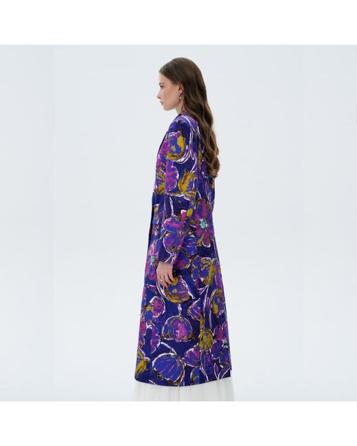 Elsava Blue Sunset