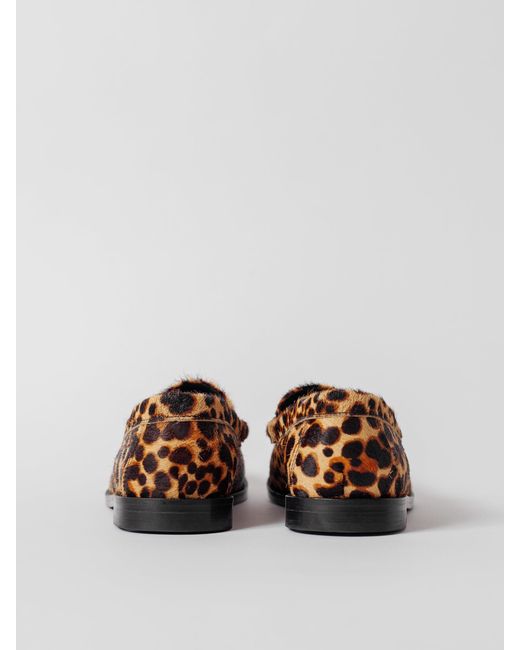 Blankens Brown The Celeste Leopard