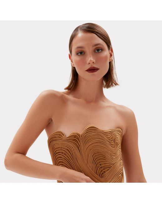 La Musa Brown Fingerprint Corset