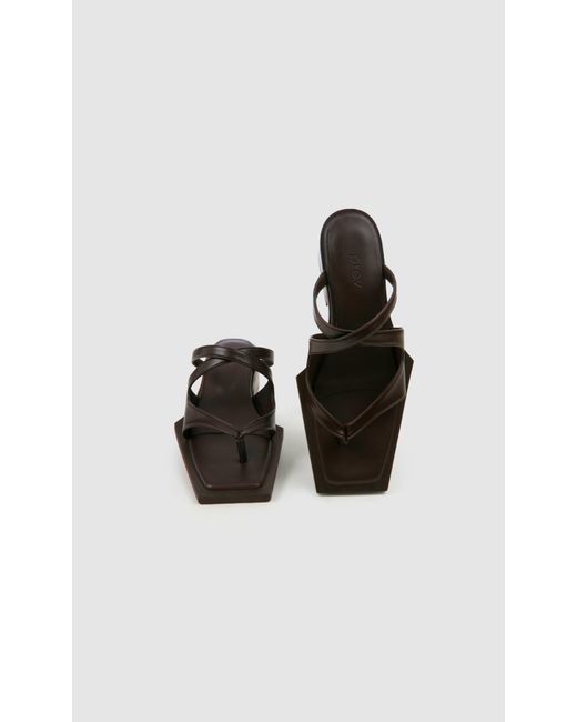 PREVU Black Karel Mule