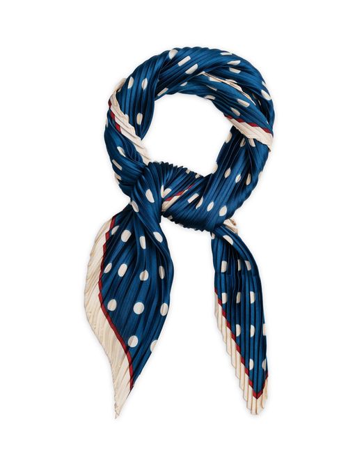 Wild Cosmos Blue Carter Plissé Petit Scarf