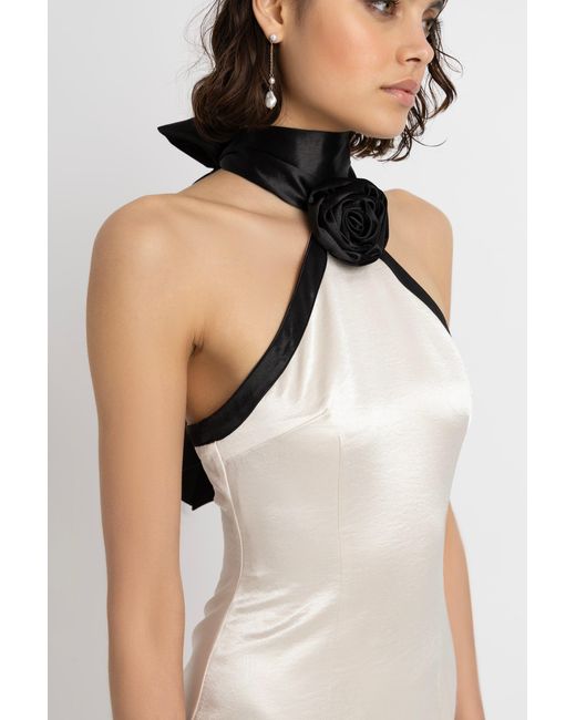 Amy Lynn Natural Neutrals Rosella Satin Halterneck Mini Dress