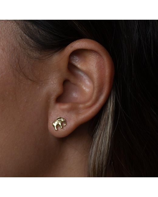 Lily Charmed Metallic Plated Elephant Stud Earrings