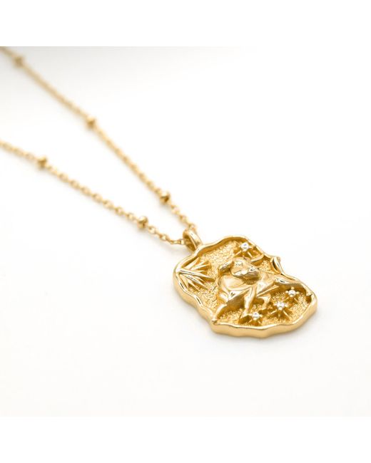 Luna Charles Metallic Solara Zodiac Necklace