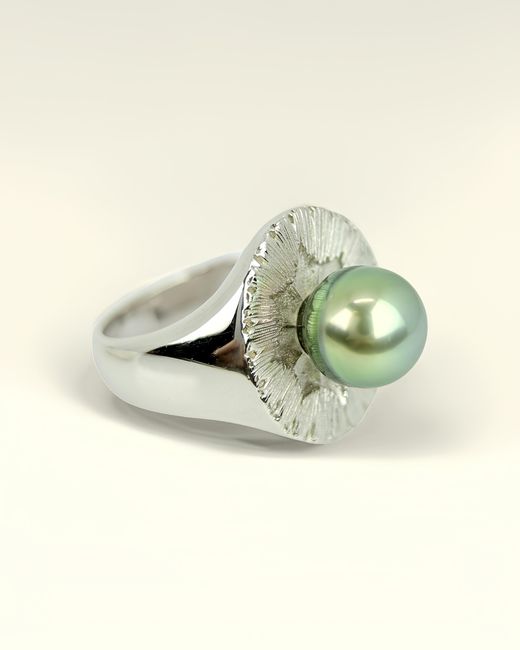 Smuccii Metallic Ratio