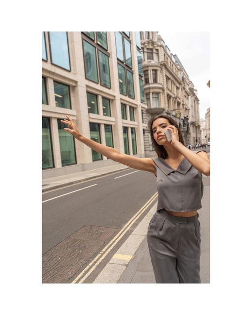 Femponiq Gray Viscose & Cupro Blend Pants