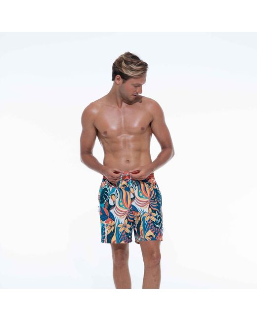 Live Kolibri Blue Board Shorts for men
