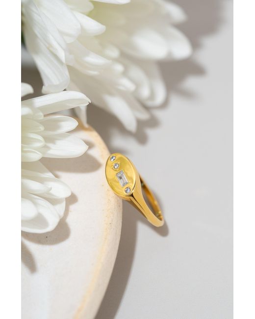 Zynnia Collective Metallic Signet Ring