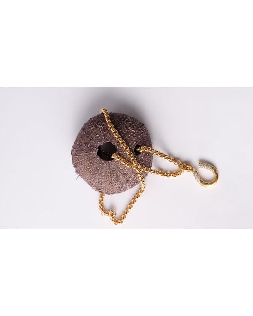 Aelea Studio Metallic Oia Necklace
