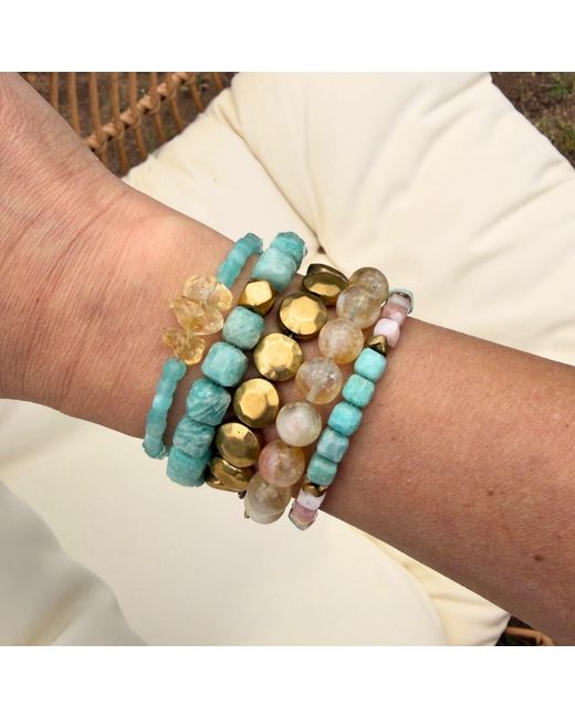 Rachel Nathan Yellow Spice: Brass Sand Dollar Coin Bracelet