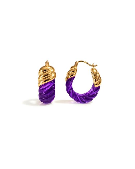 Gold & Honey Purple Amethyst Rope Shrimp Lucite Birthstone Hoop Earrings