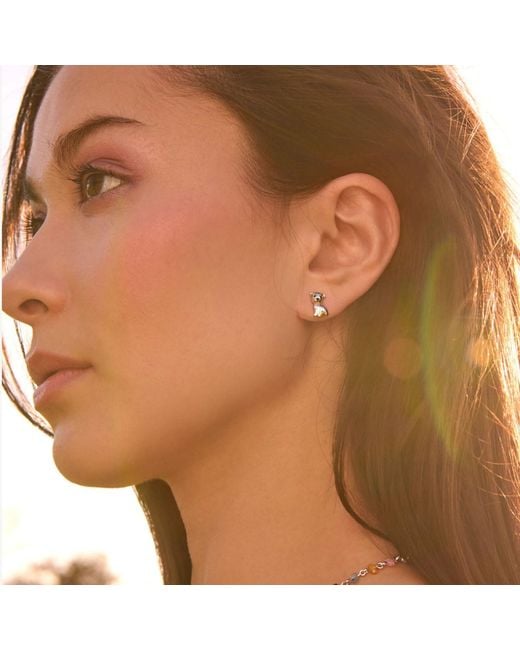 Cloud Haven Metallic Pit Bull Stud Earrings