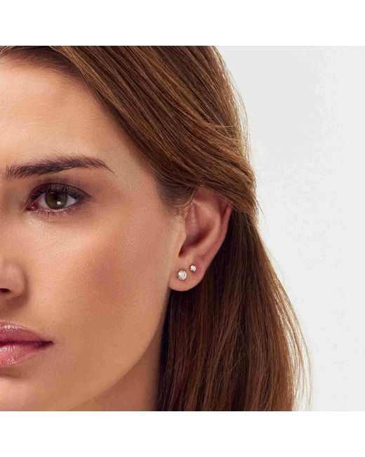 Sif Jakobs Jewellery Metallic Solitaire Earrings Venice