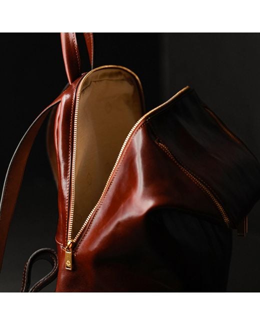 Time Resistance Brown Leather Backpack