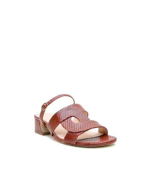 Alterre Brown Snake Twiggy Loop Sandal