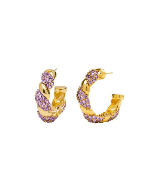 Lavani Jewels Metallic Purple & Gold Plated Paramount Hoops