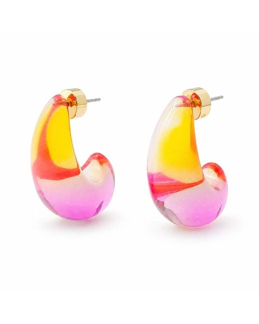 Hye Jane Jewelry Pink Ombré Resin Statement Earrings