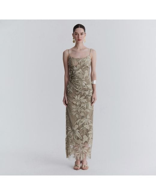 Belsize25 Natural Mayfair Series Floral Embroidered Mesh Maxi Dress