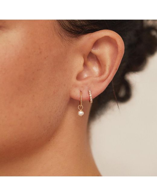 Lilo Roo Lily & Roo Small Pearl Drop Hoop Earrings in Metallic | Lyst UK