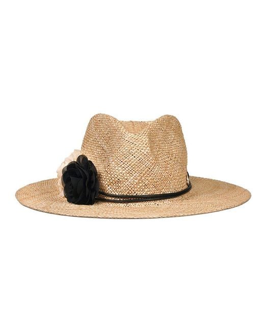Le Trap Multicolor Neutrals Nice Hat