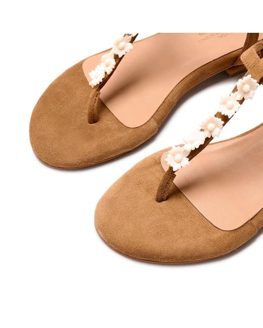 Naguisa Brown Savina Flower Camel