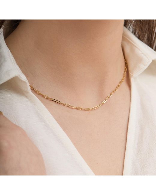 Esterah Metallic Fine Link Chain Necklace
