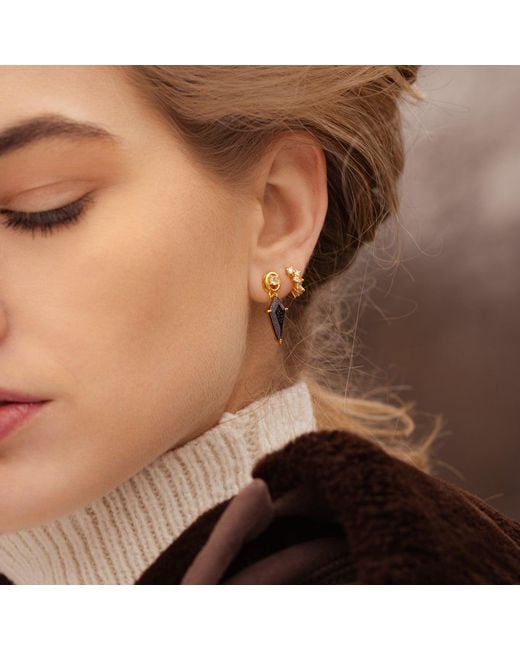 Ptera Jewelry Metallic Luna Earrings