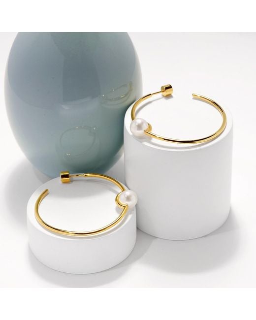 Meulien Metallic Slender Hoop Earrings With Perched Freshwater Pearl