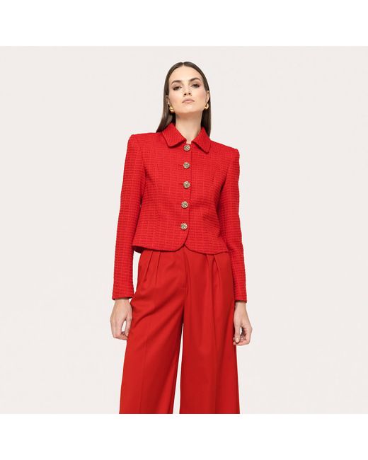 Nissa Red Boucle Suit Jacket
