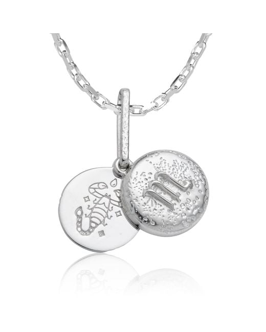 Cartography Metallic Scorpio Zodiac Locket Necklace