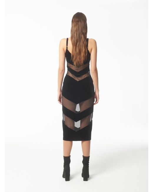 Sour Figs Black Contrast Tulle & Velvet Panel Midi Dress