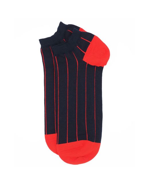 Peper Harow - Made in England Blue Pin Stripe & Classic Royal Trainer Socks Bundle for men