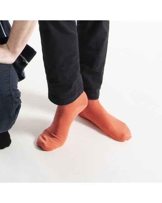 Peper Harow - Made in England Blue Socks Bundle – Vibrant for men