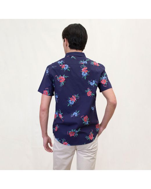 Lords of Harlech Blue Tim Oxford Harmony for men