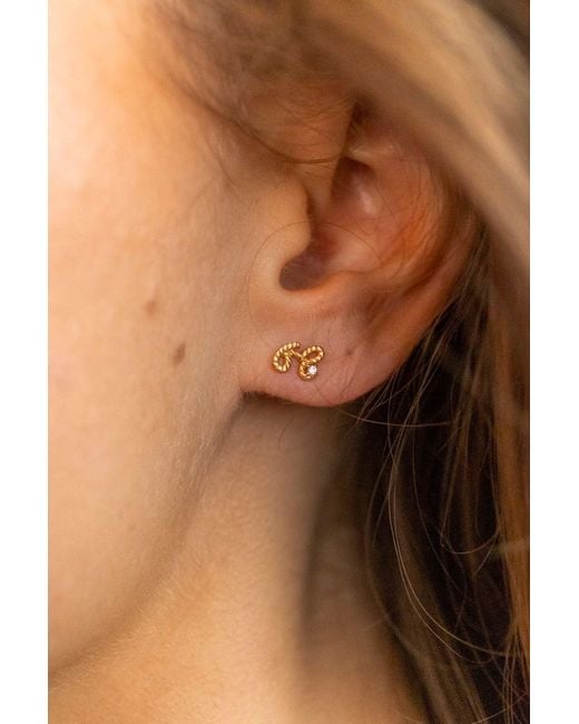 Claire Hill Designs Metallic Beautiful Shorthand Stud Earring