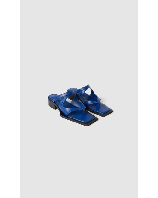 PREVU Blue Karel Mule