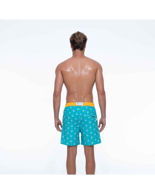 Live Kolibri Blue Luxury Swim Trunks for men
