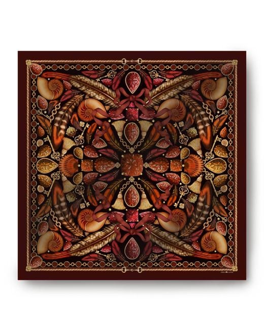 Emily Carter Brown The Feather Baroque Scarf